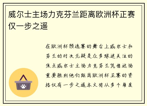 威尔士主场力克芬兰距离欧洲杯正赛仅一步之遥